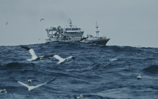 Pelagic vessels